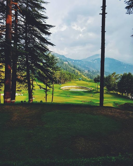 Naldehra Golf Course, Shimla